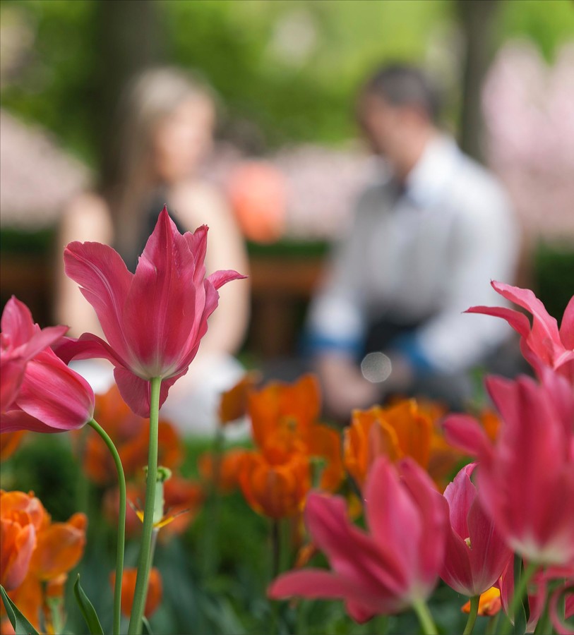 fotos_preboda_esession_pamplona_navarra_MJose_Andres04